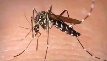 സംസ്ഥാനത്ത് രണ്ട് പേർക്ക് കൂടി Zika Virus സ്ഥിരീകരിച്ചു