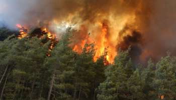 Wildfire in Turkey; മൂന്ന് മരണം, 1,500 ഏക്കർ കൃഷി ഭൂമി കത്തി നശിച്ചു