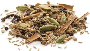 Garam Masala Benefits and Side Effects: ഗരം മസാല ഉപയോഗിക്കുമ്പോള്‍ ശ്രദ്ധിക്കുക, ഗുണത്തോടൊപ്പം ദോഷവുമുണ്ടാകാം  