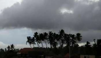 Kerala Rain Alert : കേരളത്തിൽ മഴ കനക്കുന്നു; എട്ട് ജില്ലകളിൽ യെല്ലോ അല്ലെർട്ട് പ്രഖ്യാപിച്ചു