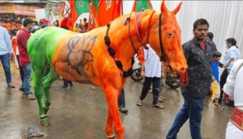 BJP flag: കുതിരയ്ക്ക് ബിജെപി പതാകയുടെ പെയിന്റടിച്ചു; പരാതി നല്‍കി മനേക ഗാന്ധിയുടെ സംഘടന 