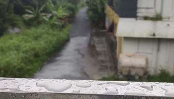 Rain Alert : സംസ്ഥാനത്ത് കനത്ത മഴയ്ക്ക് സാധ്യത; 4 ജില്ലകളിൽ യെല്ലോ അലേർട്ട് 