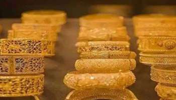 Gold Rate on September 02 in Kerala: സ്വര്‍ണ വിലയില്‍  ഇടിവ്,  ഇന്ന് കുറഞ്ഞത്‌ പവന്  80 രൂപ  