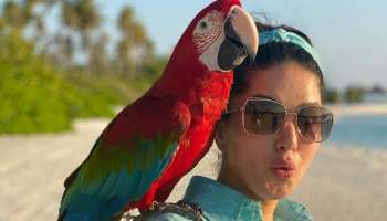  മാലിദ്വീപിൽ Macaw നൊപ്പം അടിച്ച് പൊളിച്ച് Sunny Leone;  ചിത്രങ്ങൾ കാണാം