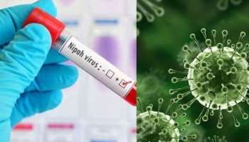 Nipah Virus: നിപ ലക്ഷണങ്ങൾ ഉണ്ടായിരുന്ന 12 കാരൻ മരിച്ചു