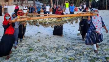 Seaweed Farming : ലക്ഷദ്വീപിന്റെ സമ്പത്ത് വ്യവസ്ഥ കൂടുതൽ ശക്തപ്പെടുത്താൻ കടൽപായൽ കൃഷിയുമായി കേന്ദ്രം 