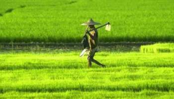 Agriculture Offices| കർഷകന് കൊടുക്കണം മുൻ നിര സീറ്റ്, നല്ല പെരുമാറ്റത്തിനും മാർക്ക്,കൃഷി ഭവനുകളിൽ റാങ്കിങ്ങ് വരുന്നു