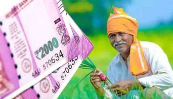 PM Kisan: പിഎം കിസാന് കീഴിൽ 4000 രൂപ ലഭിക്കാനുള്ള അവസാന അവസരം നാളെ! 