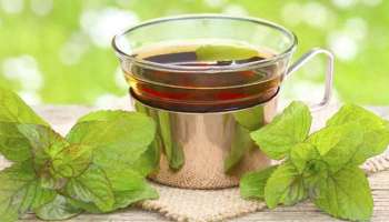 Sulaimani Tea: കണ്ണിനടിയിലെ കറുപ്പ് നിറം മാറ്റാൻ ഈ ചായ ഉത്തമം  