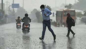 Kerala Rain Alert: കുടയെടുത്തോളു, ഇന്നും 10 ജില്ലകൾക്ക് യെല്ലോ അലർട്ട്