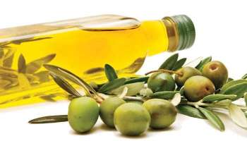 Olive Oil Benefits: ഒലിവ് ഓയില്‍ ദിവസവും മുഖത്ത് പുരട്ടിയാല്‍ കാണാം മാജിക്...!! 
