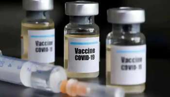 India resumes COVID  vaccine export | അയൽരാജ്യങ്ങളിലേക്കുള്ള വാക്സിൻ കയറ്റുമതി പുനരാരംഭിച്ച് ഇന്ത്യ