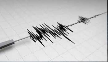 Indonesia Earthquake : ബാലി ദ്വീപിൽ ശക്തമായ ഭൂചലനം; മൂന്ന് പേർ കൊല്ലപ്പെട്ടു 