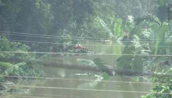 Kerala Rain Alert : ന്യൂനമർദ്ദം ദുർബലമാകുന്നു; സംസ്ഥാനത്ത് മഴയുടെ  തീവ്രത കുറയുന്നു