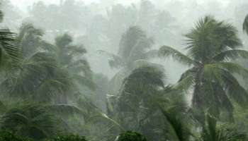 Kerala Weather Update : കേരളത്തിൽ ഇന്ന് 10 ജില്ലകളിൽ Orange Alert, 25-ാം തിയതി സംസ്ഥാനത്ത് വ്യാപക മഴയെന്ന് IMD