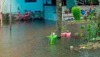 Kuttanad | കിഴക്കൻ വെള്ളത്തിന്റെ വരവ് ശക്തം; കുട്ടനാട്ടിൽ ജലനിരപ്പ് താഴുന്നില്ല