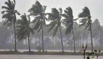 Heavy rain in Kerala | സംസ്ഥാന വ്യാപകമായി ഇടിമിന്നലോട് കൂടിയ മഴയ്ക്ക് സാധ്യത; അഞ്ച് ജില്ലകളിൽ യെല്ലോ അലർട്ട്