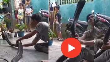 Cobra Viral Video : 15 അടി നീളമുള്ള മുർഖൻ വീട്ടിലെത്തി, പിന്നീട് നടന്നത് കണ്ട് ഞെട്ടി സോഷ്യൽ മീഡിയ