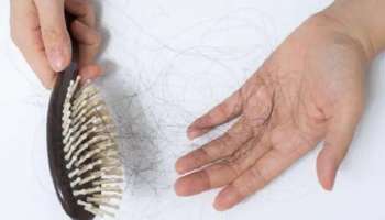 Hair Loss : തലമുടി പൊട്ടുന്നതും കൊഴിയുന്നതും ഒഴിവാക്കാൻ ശ്രദ്ധിക്കേണ്ട കാര്യങ്ങൾ 
