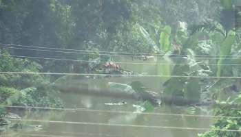  Heavy Rain Alert : സംസ്ഥാനത്ത്  നവംബർ 4 വരെ ഇടി മിന്നലോടു കൂടിയ മഴ  തുടരാൻ സാധ്യത