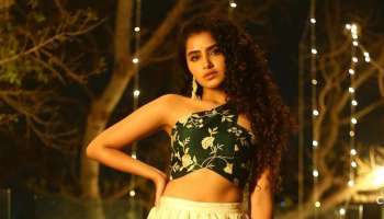 Anupama Parameswaran : ദീപാവലിക്ക് അതിസുന്ദരിയായി അണിഞ്ഞൊരുങ്ങി അനുപമ പരമേശ്വരൻ; ചിത്രങ്ങൾ കാണാം