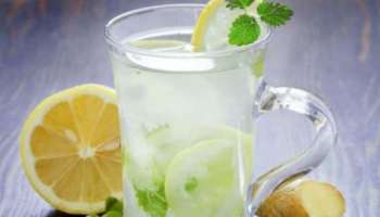 Lemon Water Benefits : നാരങ്ങാ വെള്ളം കുടിക്കുന്നത് കൊണ്ട് ഗുണങ്ങളേറെയാണ്