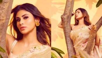 Mouni Roy in Saree: സാരിയില്‍ മനോഹരിയായി മൗനി റോയ്, വിസ്മയിപ്പിക്കുന്ന ചിത്രങ്ങള്‍  കാണാം ...