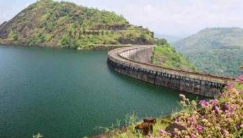 Idukki Dam | ജലനിരപ്പ് ഉയരുന്നു; ഇടുക്കി അണക്കെട്ടിൽ ഓറഞ്ച് അലർട്ട്, ജാഗ്രത നിർദേശവുമായി ജില്ലാ കലക്ടർ