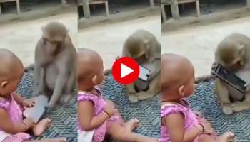 Baby And Monkey Video: ആകാംക്ഷ കാണില്ലേ? കുട്ടിയുടെ കയ്യിൽ നിന്നും ഫോൺ എടുത്ത് കുരങ്ങ്-Viral 