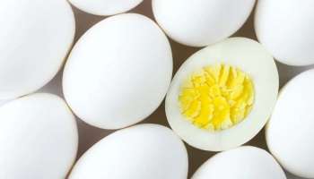 Egg Side effects: മുട്ട കൂടുതല്‍ കഴിയ്ക്കുന്ന സ്ത്രീകള്‍ ശ്രദ്ധിക്കുക.... ഇവരില്‍ ക്യാന്‍സര്‍ സാധ്യത വളരെ കൂടുതല്‍...!! 