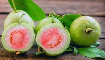 Guava Health Benefits: ശരീരഭാരം കുറയ്ക്കാനും പ്രതിരോധശേഷി വർധിപ്പിക്കാനും പേരയ്ക്ക ഉത്തമം 