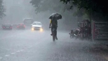 Kerala Rain Updates: തിരുവനന്തപുരം ജില്ലയിലെ വിദ്യാഭ്യാസ സ്ഥാപനങ്ങൾക്ക് ഇന്നും അവധി