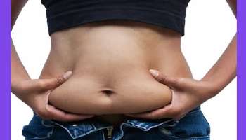 Belly Fat Loss Tips: രാത്രി ഉറങ്ങുന്നതിന് മുമ്പ് ഈ 2 പാനീയങ്ങൾ കുടിക്കൂ, വയറിലെ കൊഴുപ്പ് ഉരുകും