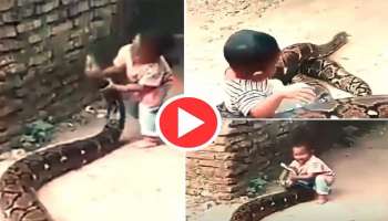 Viral Video: പെരുമ്പാമ്പിന് മുന്നിൽ പെട്ട കുട്ടി, പിന്നീട് നടന്നത്..!