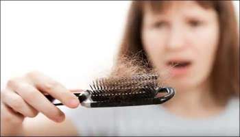 Hair Fall Problems: മുടികൊഴിച്ചില്‍ തടയാം,  ഇക്കാര്യങ്ങള്‍ ശ്രദ്ധിച്ചാല്‍ മതി