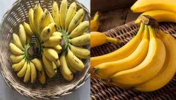 Benefit Of Banana: തണുപ്പ് കാലത്ത് പഴം കഴിക്കാൻ ഏറ്റവും അനുയോജ്യമായ സമയം? അറിയാം