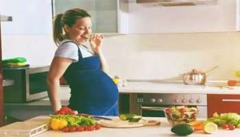 Pregnant Women Health : നിങ്ങൾ ഗർഭിണിയാണോ? ഈ ഭക്ഷണങ്ങൾ ഒഴിവാക്കാൻ ശ്രദ്ധിക്കുക