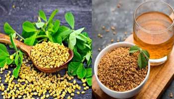 Fenugreek Tea Benefits: കൊഴുപ്പും ശരീരഭാരവും കുറയ്ക്കാൻ ഉലുവ ചായ ഉത്തമം