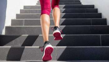 Benefits Of Climbing Stairs: ശരീരഭാരം പെട്ടെന്ന് കുറയ്ക്കണോ, പടികൾ കയറിയിറങ്ങുന്നത് ശീലിക്കൂ!
