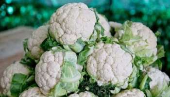 Cauliflower Side Effects: ഈ പ്രശ്നമുള്ളവർ &#039;കോളിഫ്ലവർ&#039; തൊടുക പോലും ചെയ്യരുത്!