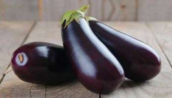 Brinjal Side Effects: വഴുതനങ്ങ ഉപയോഗിക്കുന്നവർ സൂക്ഷിക്കുക! അറിയാം അതിന്റെ ദോഷവശങ്ങൾ... 