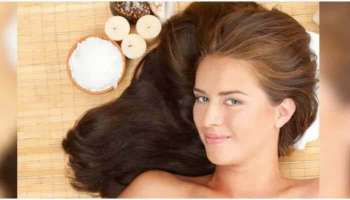 Winter Hair Care Tips: മഞ്ഞുകാലത്ത് മുടി സംരക്ഷിക്കാം, ഈ 5 കാര്യങ്ങള്‍ ശ്രദ്ധിക്കൂ