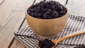 Black Raisins Benefit : ഉണക്ക മുന്തിരി ചുമ്മാ ചവച്ചാലും ഗുണങ്ങൾ ഏറെയാണ് 