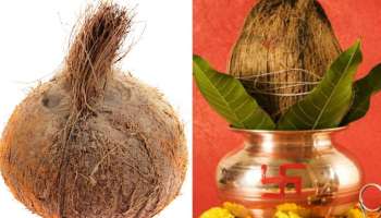 Coconut: പൂജയ്ക്ക് ഉപയോഗിച്ച ശേഷവും സ്ത്രീകൾ തേങ്ങ ഉടയ്ക്കാറില്ല, കാരണം?