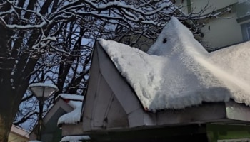 Himachal Pradesh Snowfall | മ‍ഞ്ഞുമൂടിയ ഹിമാചൽ, കുളിരണിയിക്കും ഷിംലയിൽ നിന്നുള്ള ചിത്രങ്ങൾ