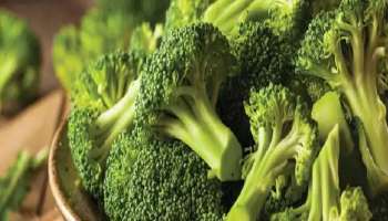 Broccoli Side effects: ഈ രോഗമുള്ളവർ ഓർമ്മിക്കാതെ പോലും &#039;ബ്രോക്കോളി&#039; കഴിക്കരുത്