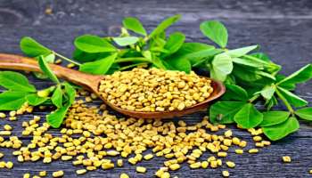 Fenugreek | ഉലുവ ആള് നിസാരക്കാരനല്ല; ഉലുവയുടെ ഈ ആറ് ഔഷധ ​ഗുണങ്ങൾ അറിയാമോ?