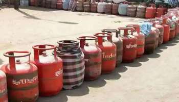 LPG Gas Cylinder Price: ബജറ്റിന് തൊട്ടുമുന്‍പ് LPG സിലിണ്ടറിന്‍റെ വിലയില്‍ 91 രൂപയുടെ വന്‍ ഇടിവ്..!! 