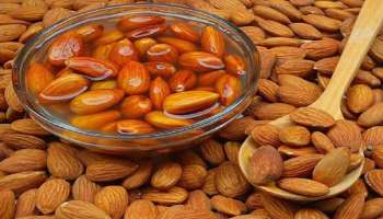 Benefits of Almonds: ബദാം പോഷകങ്ങളുടെ കലവറ, എങ്ങിനെ കഴിയ്ക്കണം? ശ്രദ്ധിക്കേണ്ട കാര്യങ്ങള്‍ 