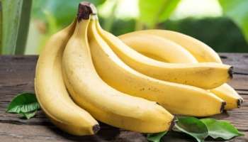 Benefits Of Eating Banana: ഈ സമയത്ത് വാഴപ്പഴം കഴിക്കുന്നത് നിരവധി ഗുണങ്ങൾ ലഭിക്കും